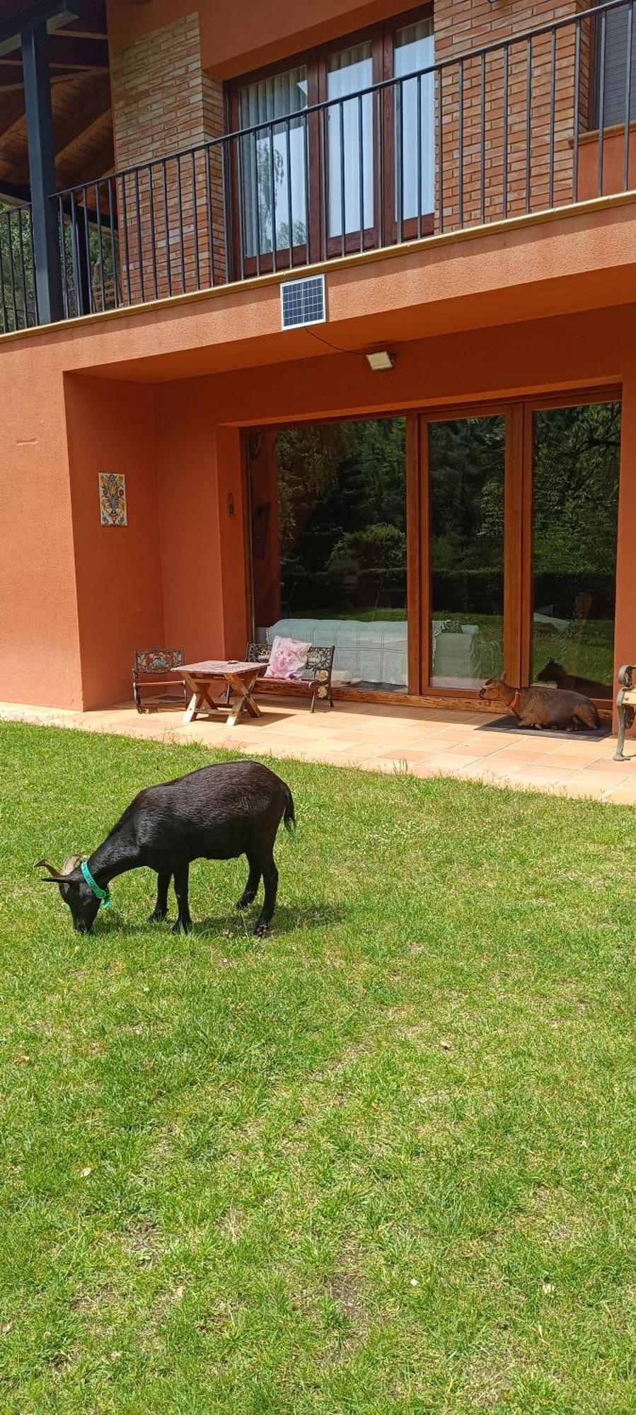 Ca La Montse Villa Viladrau Exterior photo