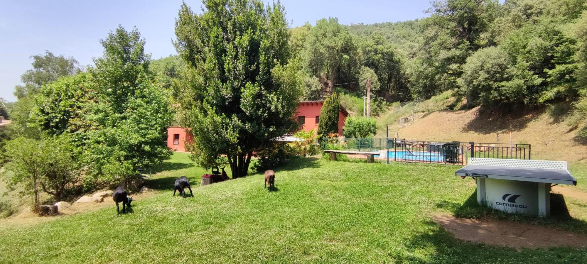Ca La Montse Villa Viladrau Exterior photo